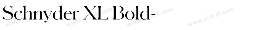 Schnyder XL Bold字体转换 Schnyder XL Bold字体转换